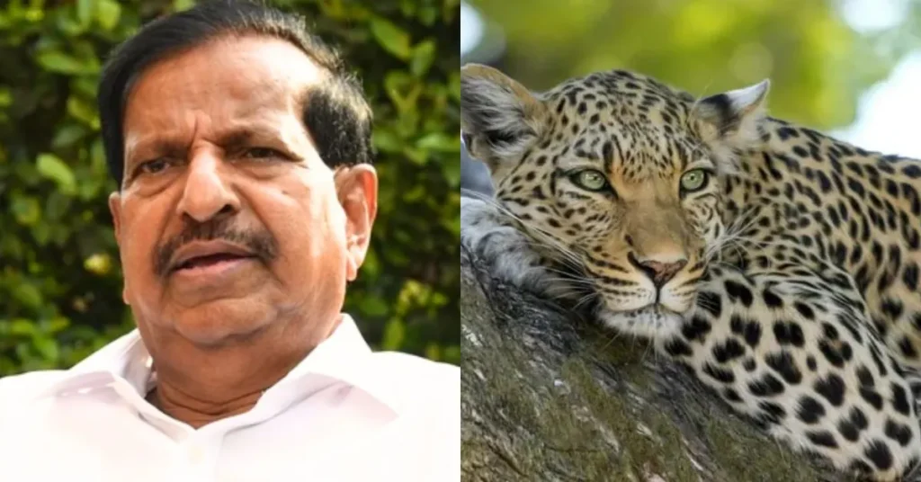 महाराष्ट्र में तेंदुए के बढ़ते हमलों के बाद बड़ा कदम: ₹11 करोड़ का सुरक्षा प्लान लागू