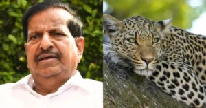 महाराष्ट्र में तेंदुए के बढ़ते हमलों के बाद बड़ा कदम: ₹11 करोड़ का सुरक्षा प्लान लागू