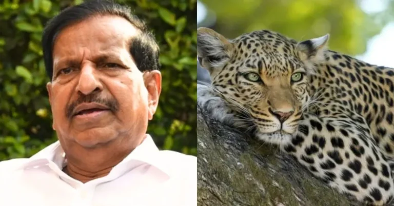 महाराष्ट्र में तेंदुए के बढ़ते हमलों के बाद बड़ा कदम: ₹11 करोड़ का सुरक्षा प्लान लागू